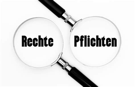 pflichten englisch|More.